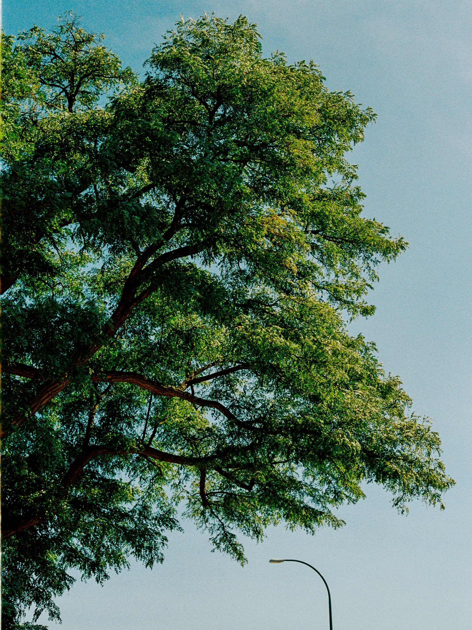 DAZED Pretty Boys | Vancouver Editorial Photographer : Jeremy Jude Lee
