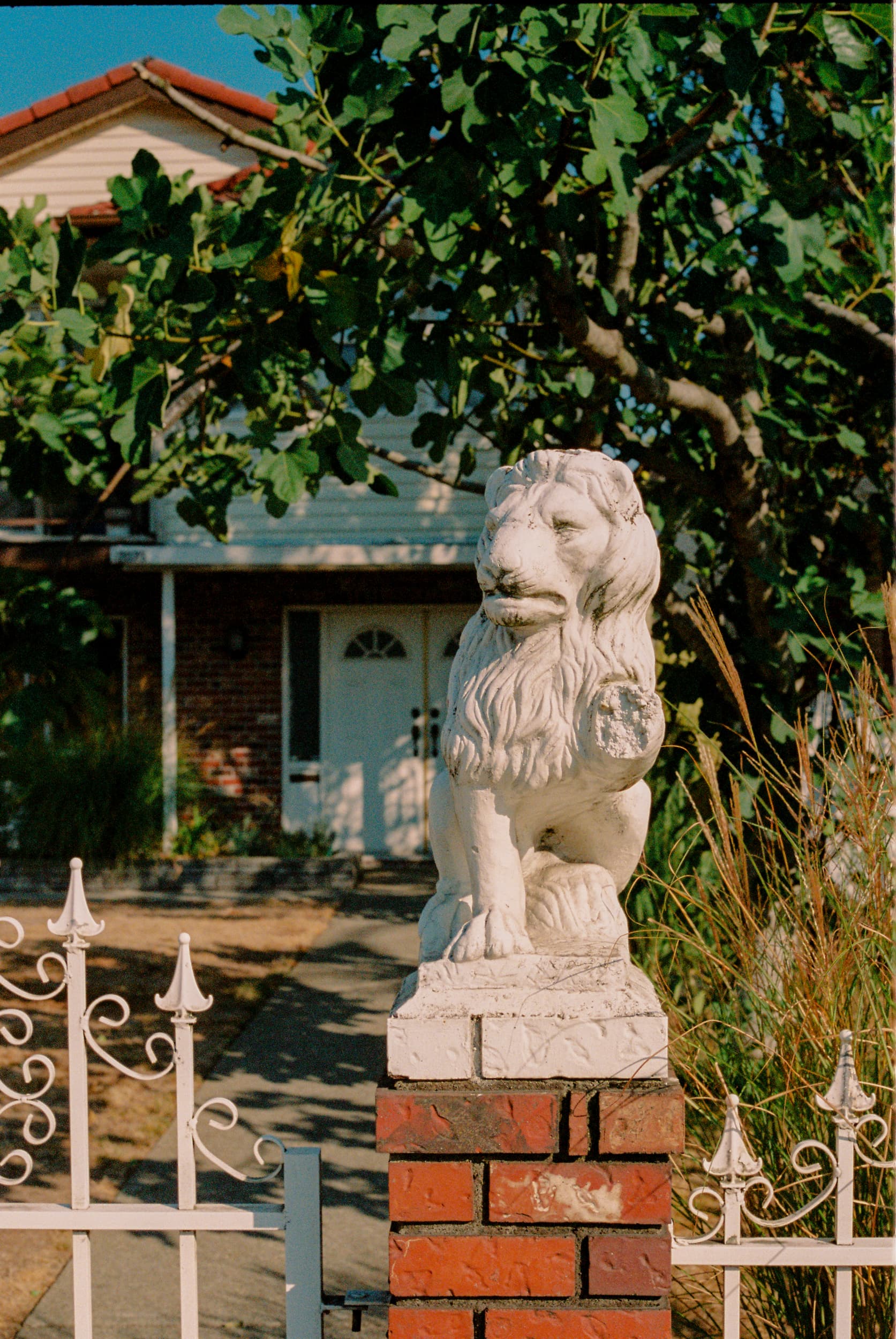 DAZED Pretty Boys | Vancouver Editorial Photographer : Jeremy Jude Lee