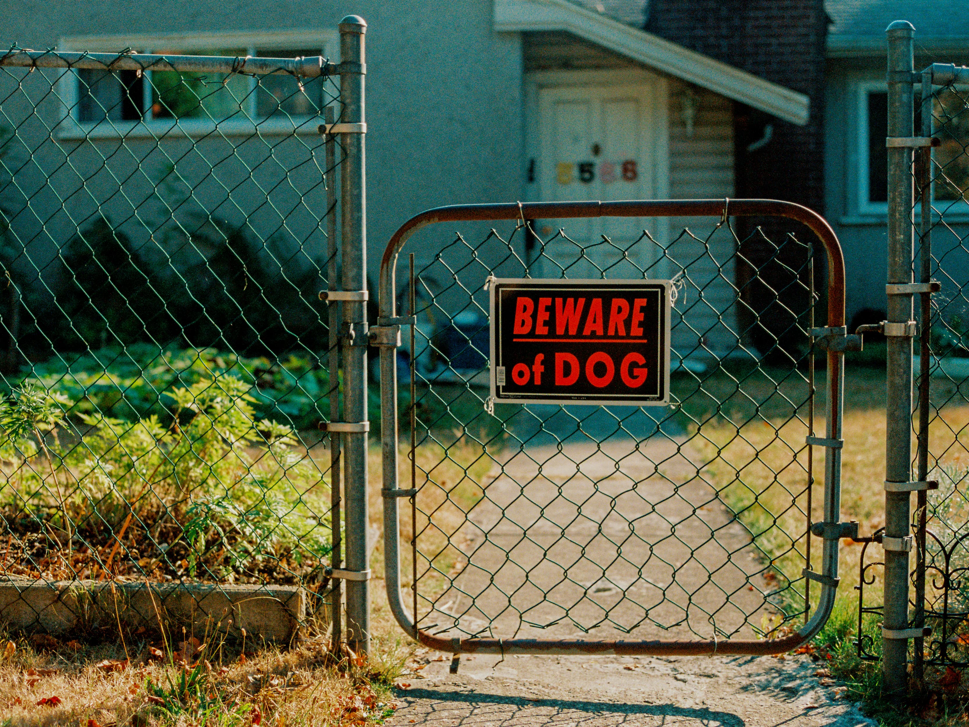 DAZED Pretty Boys | Vancouver Editorial Photographer : Jeremy Jude Lee