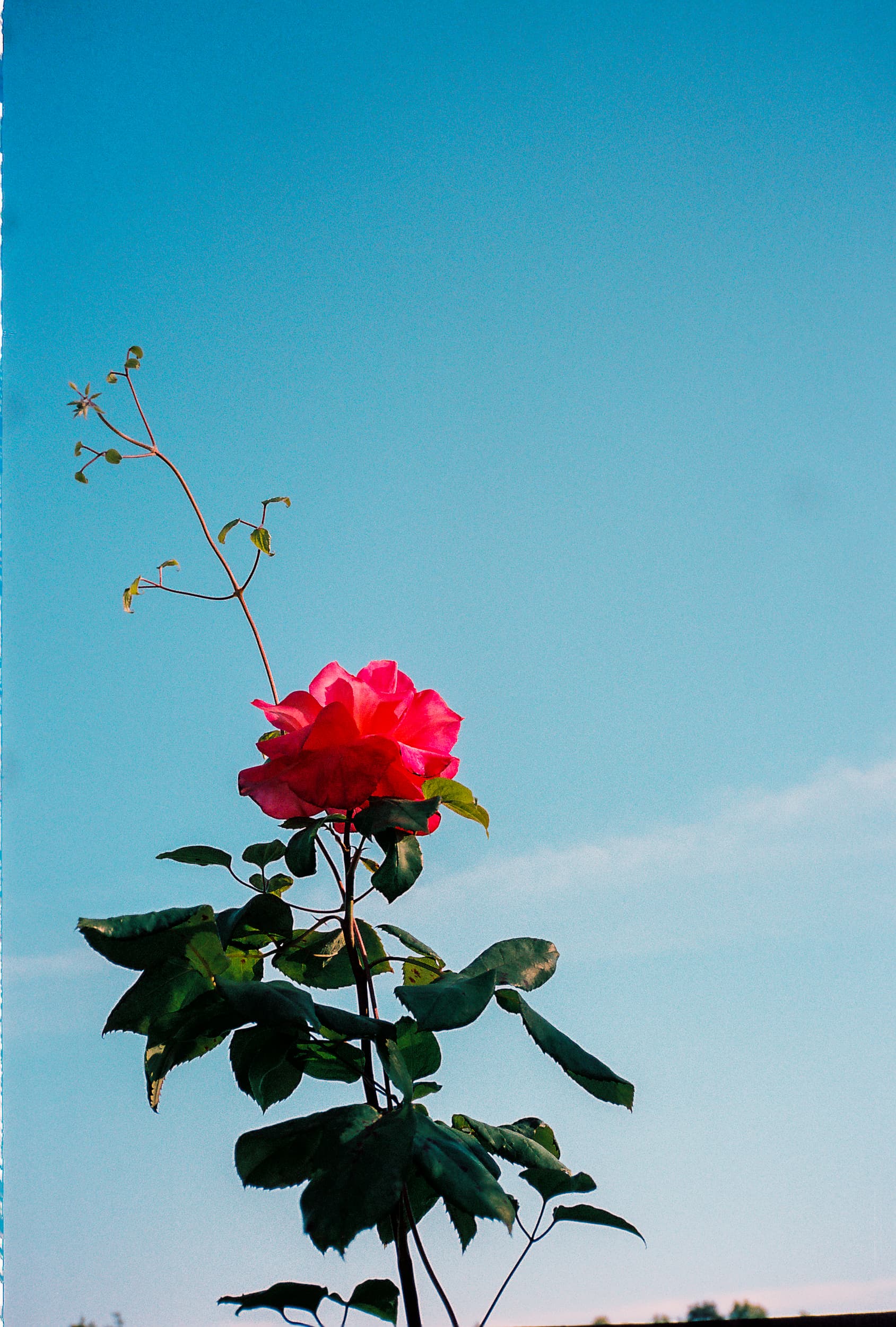 DAZED Pretty Boys | Vancouver Editorial Photographer : Jeremy Jude Lee